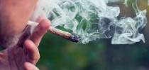 Consumidores de marihuana recreativa tienen casi un 25% más de probabilidades de necesitar atención de emergencia y hospitalización - CNN en Español
