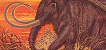 Vilnonis mamutas sugrįžo. Ar turėtume juos valgyti? - kriptovaliutos.org
