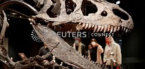 Eye socket changes amped up bite force in T. rex and friends - Fiji Times
