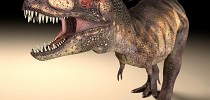 Lielie plēsīgie dinozauri, piemēram, T. rex, attīstīja dažādas acu dobumu formas, lai nodrošinātu spēcīgākus kodumus. - iceļo