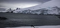 Araştırma: Antarktika'da buz sahanlığı beklenilenden daha kısa sürede eriyor olabilir - Cumhuriyet