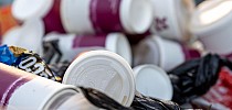 New polling finds widespread support for 20c levy on disposable cups - TheJournal.ie