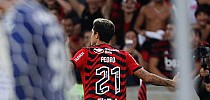 Jogador do Palmeiras declara torcida por convocação de Pedro para Copa do Mundo - Coluna do Fla