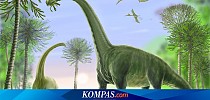 Bagaimana Dinosaurus Mampu Menopang Tubuh Raksasanya? - Kompas.com - KOMPAS.com