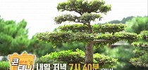 콘테나 & 정원의 발견 예고 [KBS제주] 20220930방송 - KBS제주