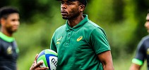 Bafana to help Rassie coach SA XV - SARugbymag