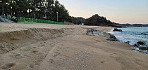 해수면 상승 엎친데 난개발 덮쳐 깎이는 해안선... 백사장이 사라진다 - 한국일보