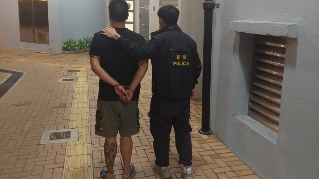 Hong Kong police arrest 3 suspected triad members in connection with assault on motorist amid dispute with alleged jaywalker