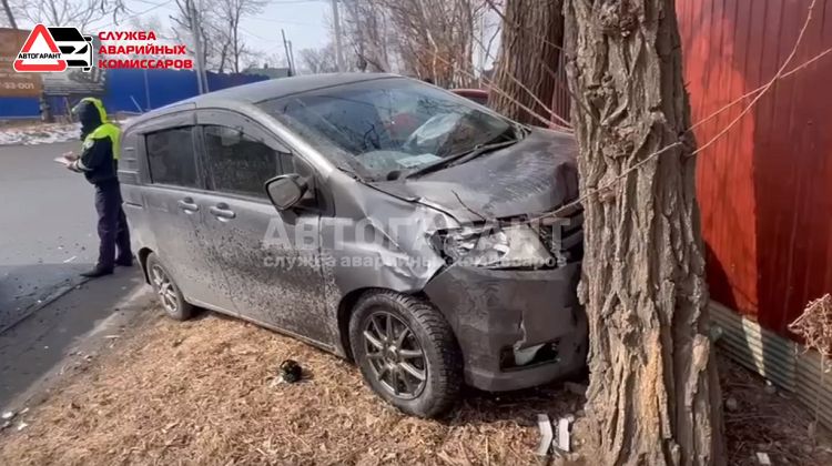 Машина врезалась в дерево во Владивостоке
