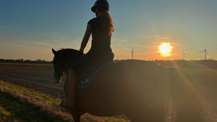 Sexismusvorwürfe gegen Pferdesport-Funktionär - Dressurrichter suspendiert
