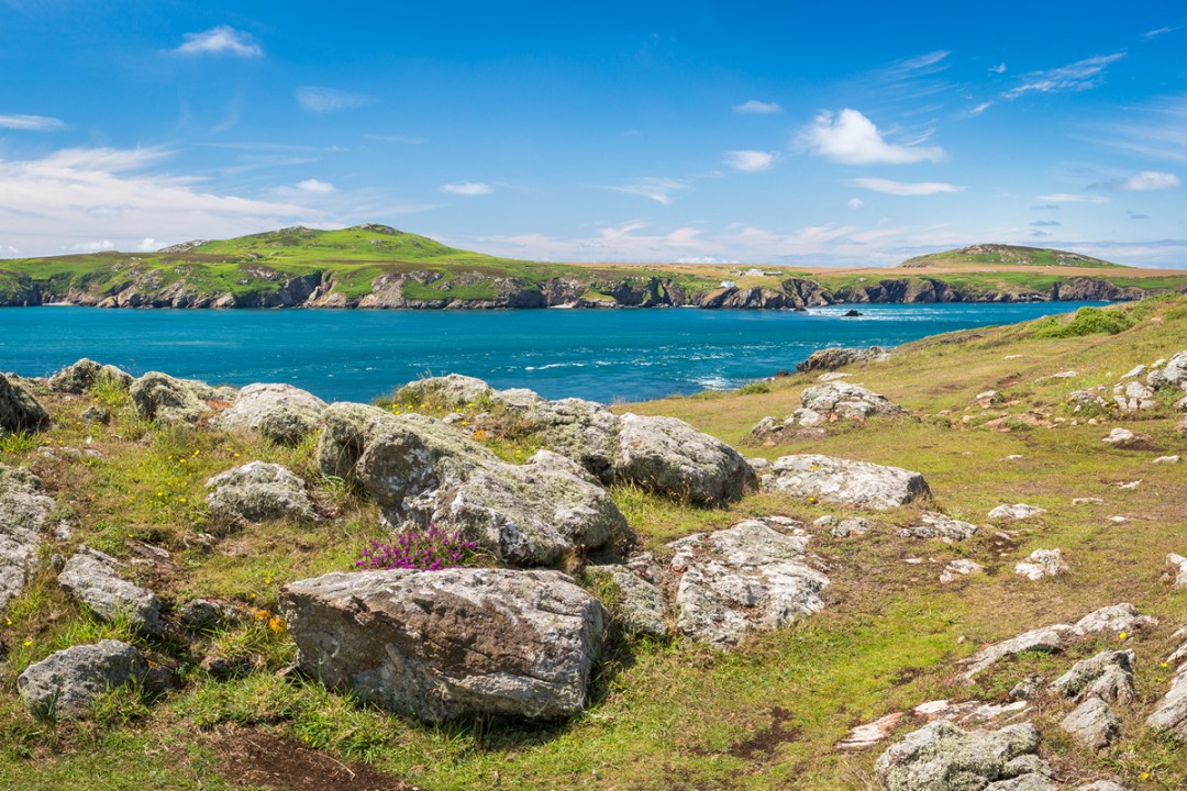 Pembrokeshire Coast National Park Management Plan consultation launched