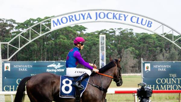 Day crowned great success as Country Championships showcase best of Moruya