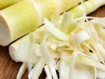 9 Manfaat Rutin Makan Rebung, Tunas Bambu yang Bisa Mengatasi Kolesterol hingga Asam Urat