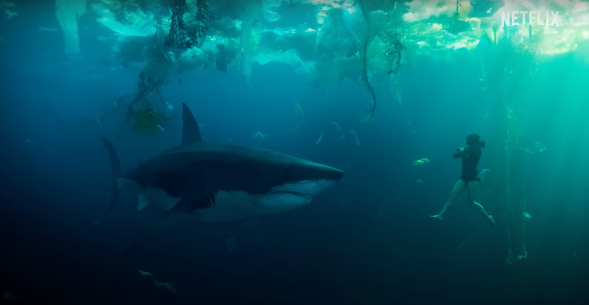 A Shark Terrorizes Paris In First Trailer For French Language Netflix Thriller ‘Under Paris’