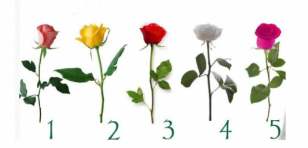 Психологічний тест! Оберіть троянду та дізнайтеся, коли здійсняться ваші бажання - Патріоти України