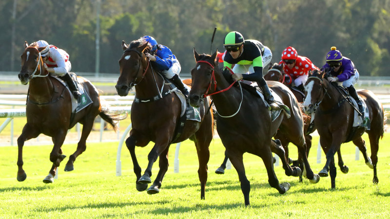 Race-by-race preview and tips for Gosford on Thursday