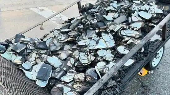 Hundreds Of Bibles Burnt Down Outside A Tennessee Church In US On Easter