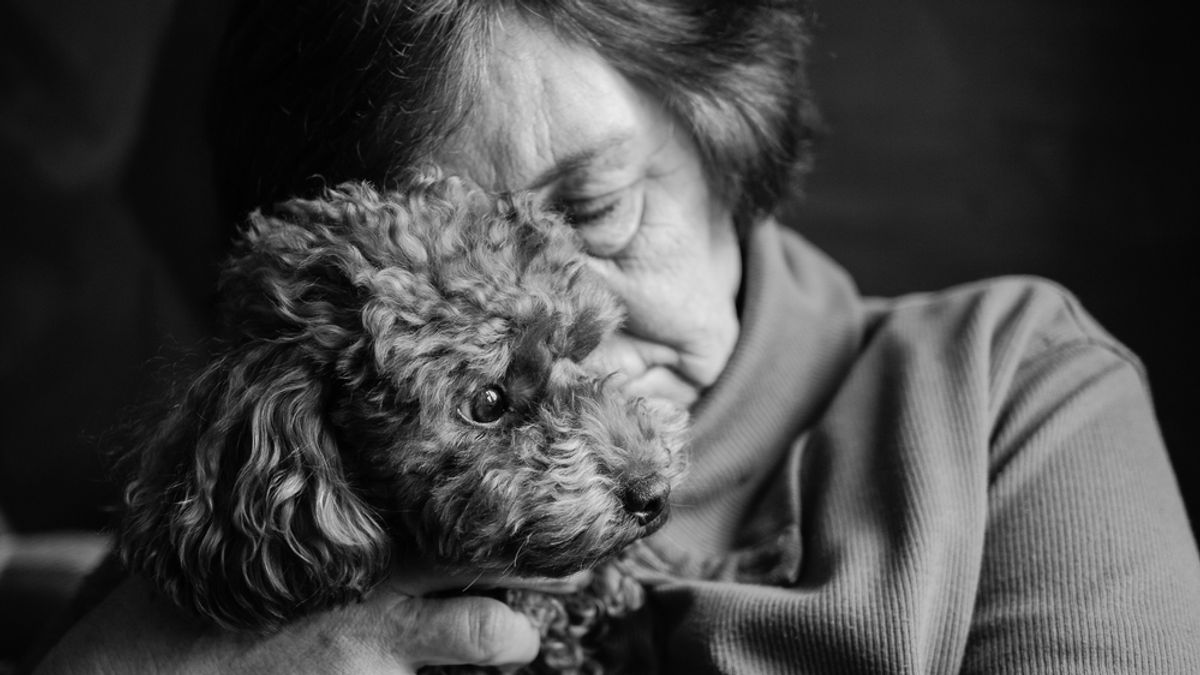 Összeszorul a szív: kétségbeesett idős néninek kérnek segítséget a tatai állatvédők