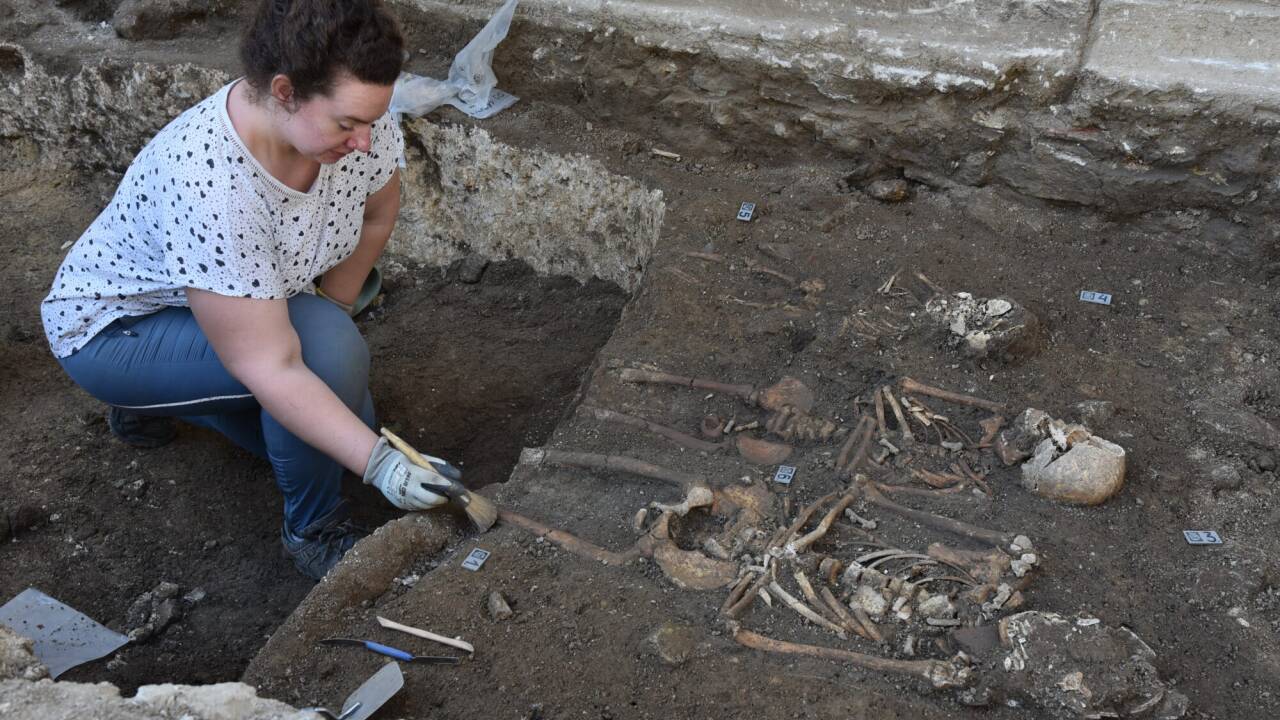 Bei Grabungsarbeiten - Skelette von Kindern neben Maissauer Pfarrkirche entdeckt