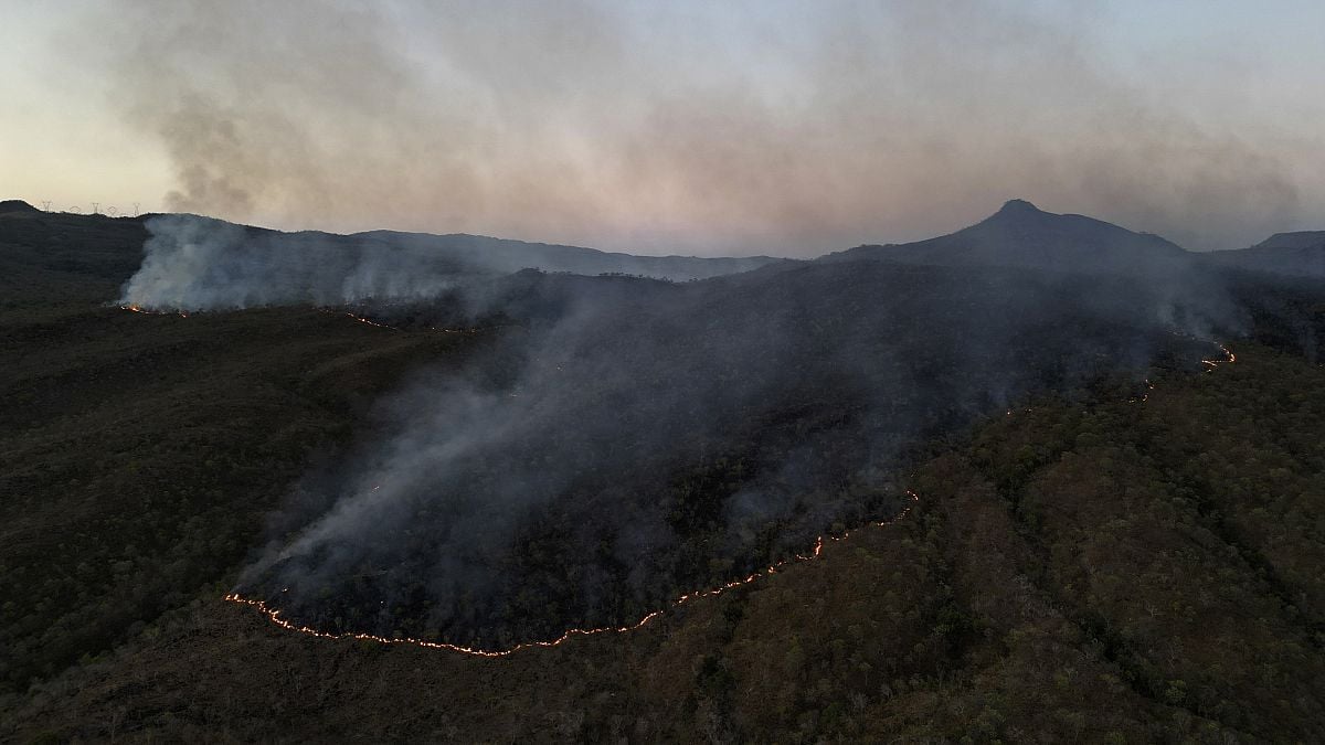 La loi sur la déforestation de l'UE reportée et assouplie par le Parlement européen