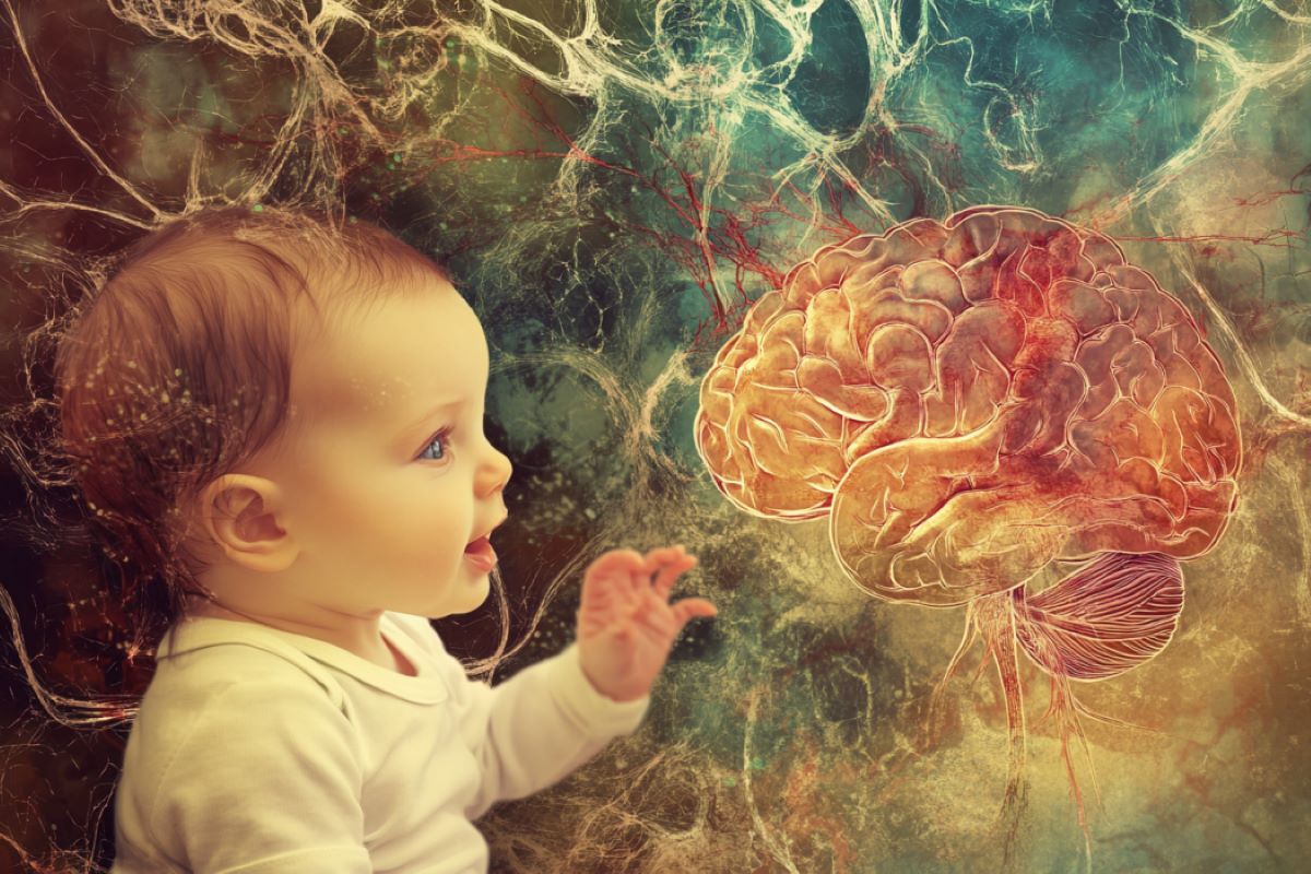 Birth Spurs a Surge in Brain Connectivity - Neuroscience News