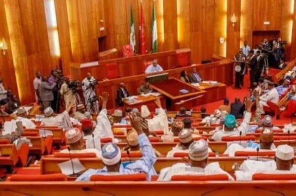 Education Is Your Right, Senate Tells Nigerian Children