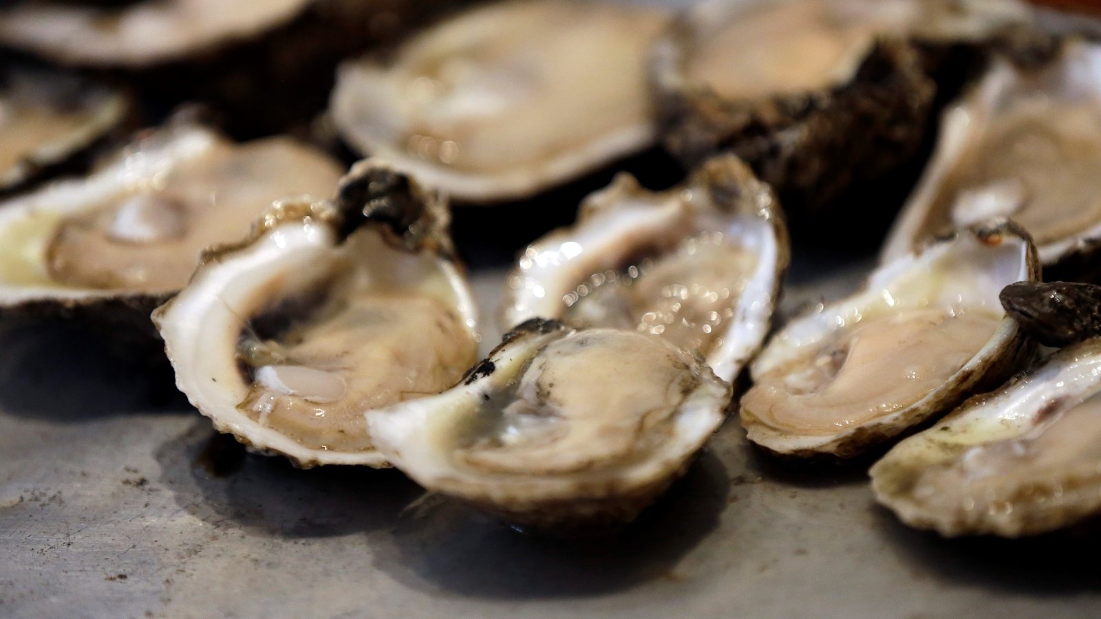 Raw oyster recall: PA and NJ among 15 states warned of norovirus outbreak after dozens sickened - WPVI-TV